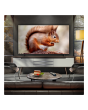 LG OLED77B56LA.AEK 77inch 4K OLED Smart TV