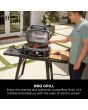 Ninja OG901UK Woodfire Pro Connect XL Electric BBQ Grill & Smoker - Black/Blue