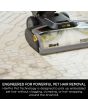 Shark CarpetXpert HairPro Pet Deep Carpet Cleaner with Built-In StainStriker - Charcoal & Fuchsia