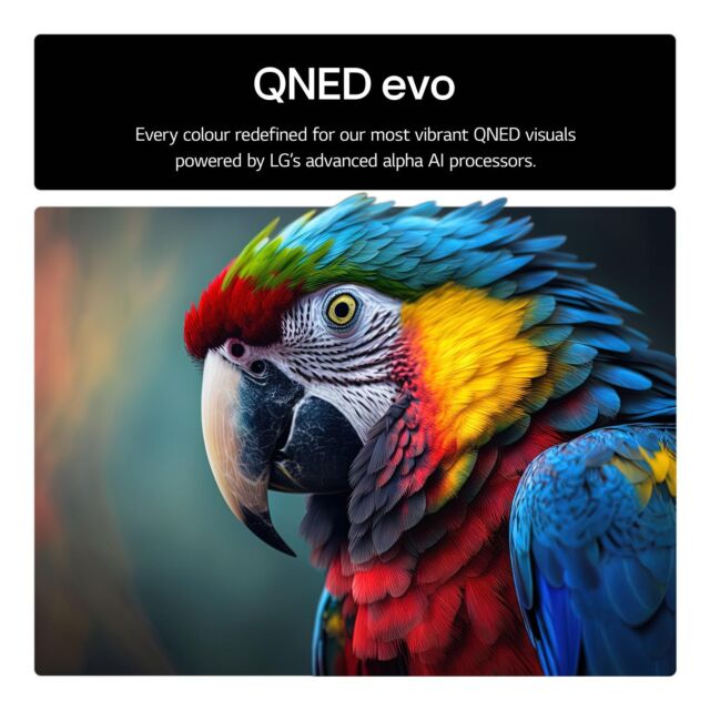 LG 55QNED85A6C.AEK 55inch 4K QNED evo Smart TV